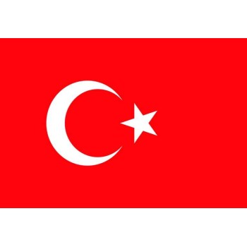 Türk Bayragı
